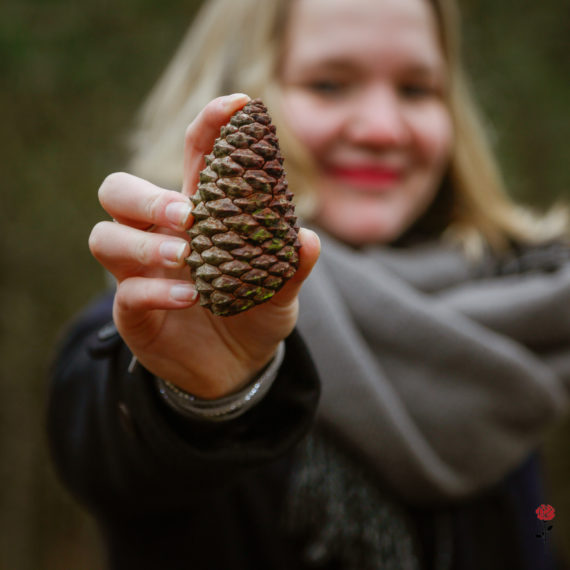 Gevecht tegen de herfst