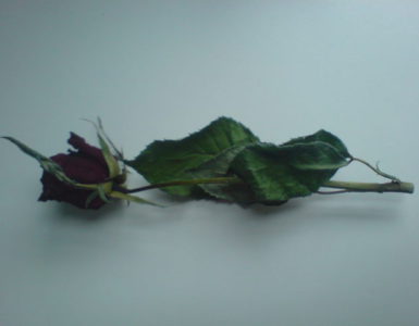 Valentijn
