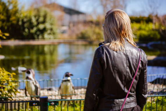 Naar Dierenpark van Blanckendaell