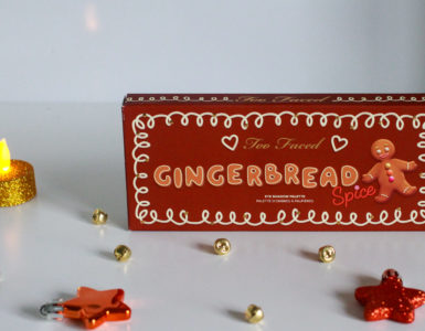 Make – up mania: Gingerbread Spice Eyeshadow Palette by Too Faced